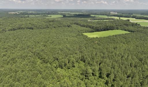 Photo #8 of 05 Albritton Road, Snow Hill, NC 16.6 acres