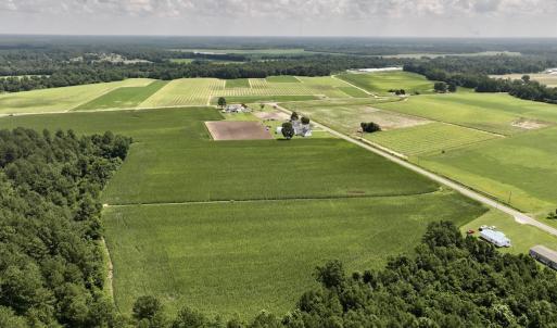 Photo #9 of 05 Albritton Road, Snow Hill, NC 16.6 acres