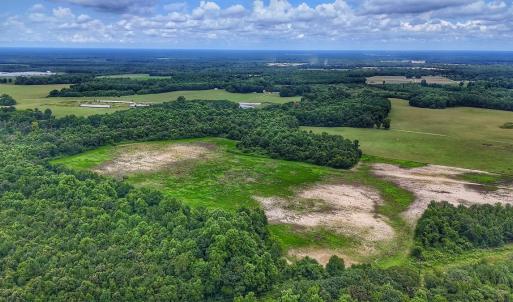 Photo #12 of Off Selah Church Rd, Goldsboro, NC 81.3 acres