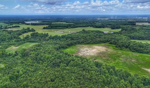 Photo #14 of Off Selah Church Rd, Goldsboro, NC 81.3 acres