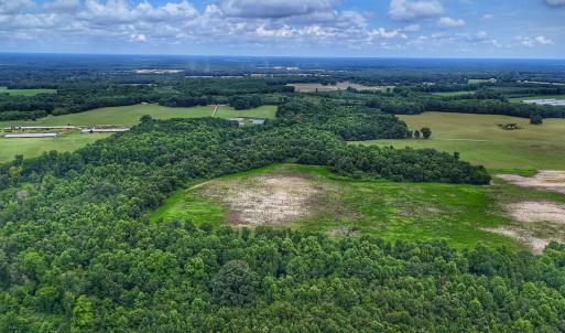 Photo #15 of Off Selah Church Rd, Goldsboro, NC 81.3 acres