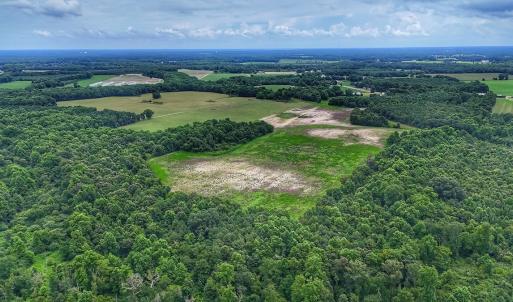 Photo #19 of Off Selah Church Rd, Goldsboro, NC 81.3 acres