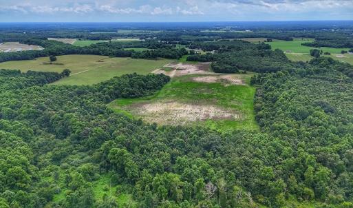 Photo #20 of Off Selah Church Rd, Goldsboro, NC 81.3 acres
