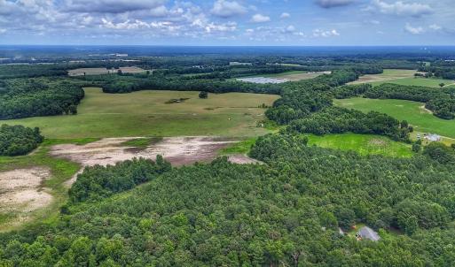 Photo #9 of Off Selah Church Rd, Goldsboro, NC 81.3 acres