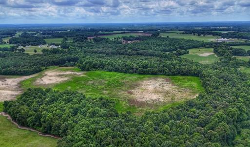 Photo #24 of Off Selah Church Rd, Goldsboro, NC 81.3 acres