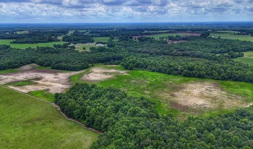 Photo #25 of Off Selah Church Rd, Goldsboro, NC 81.3 acres