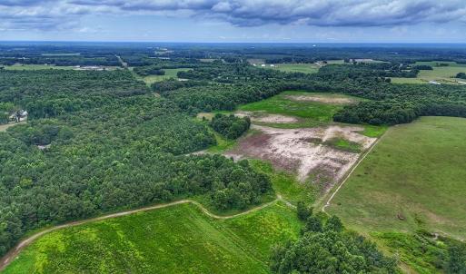 Photo #33 of Off Selah Church Rd, Goldsboro, NC 81.3 acres