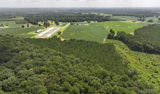 Photo #10 of Off Old Mill Road, stantonsburg, NC 51.5 acres