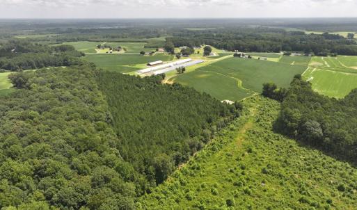 Photo #11 of Off Old Mill Road, stantonsburg, NC 51.5 acres
