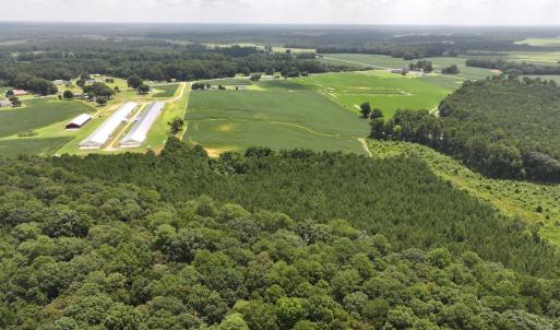 Photo #12 of Off Old Mill Road, stantonsburg, NC 51.5 acres