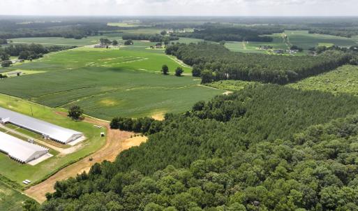 Photo #13 of Off Old Mill Road, stantonsburg, NC 51.5 acres