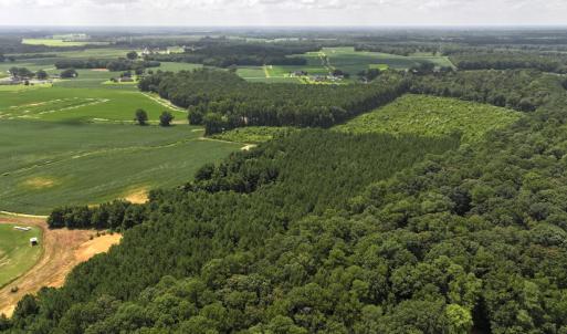 Photo #14 of Off Old Mill Road, stantonsburg, NC 51.5 acres