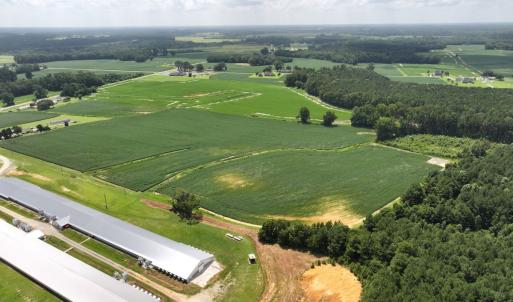 Photo #15 of Off Old Mill Road, stantonsburg, NC 51.5 acres