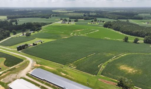 Photo #16 of Off Old Mill Road, stantonsburg, NC 51.5 acres