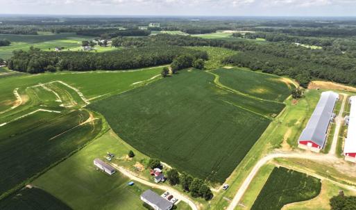 Photo #17 of Off Old Mill Road, stantonsburg, NC 51.5 acres