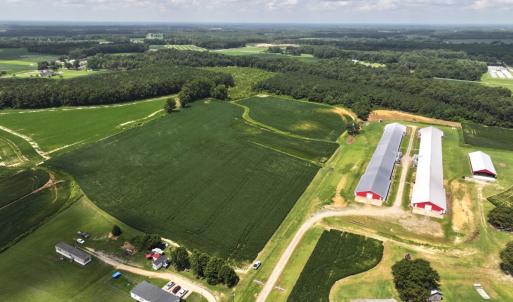 Photo #18 of Off Old Mill Road, stantonsburg, NC 51.5 acres