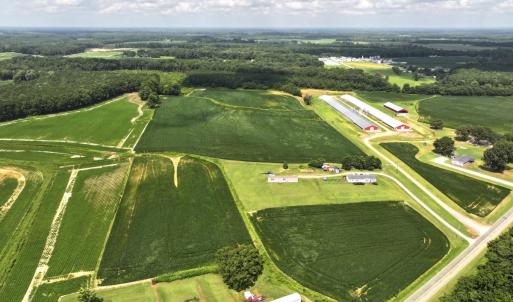 Photo #19 of Off Old Mill Road, stantonsburg, NC 51.5 acres