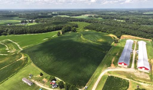 Photo #20 of Off Old Mill Road, stantonsburg, NC 51.5 acres