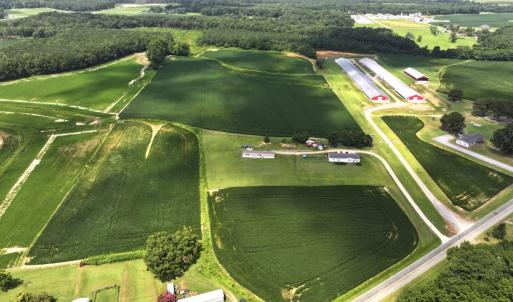 Photo #21 of Off Old Mill Road, stantonsburg, NC 51.5 acres