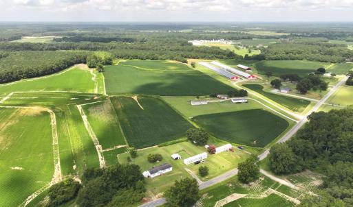 Photo #23 of Off Old Mill Road, stantonsburg, NC 51.5 acres