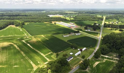 Photo #24 of Off Old Mill Road, stantonsburg, NC 51.5 acres