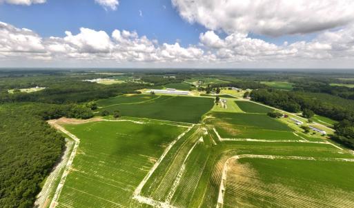 Photo #25 of Off Old Mill Road, stantonsburg, NC 51.5 acres