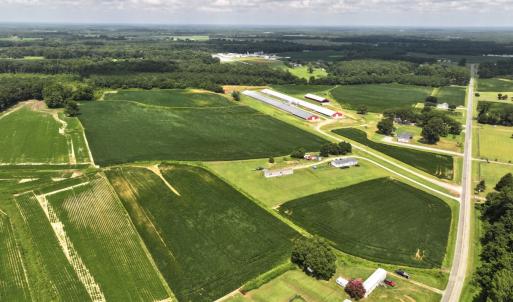 Photo #26 of Off Old Mill Road, stantonsburg, NC 51.5 acres