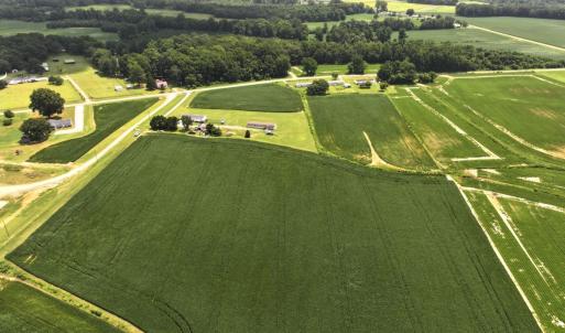 Photo #28 of Off Old Mill Road, stantonsburg, NC 51.5 acres