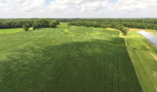 Photo #29 of Off Old Mill Road, stantonsburg, NC 51.5 acres
