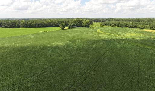 Photo #30 of Off Old Mill Road, stantonsburg, NC 51.5 acres
