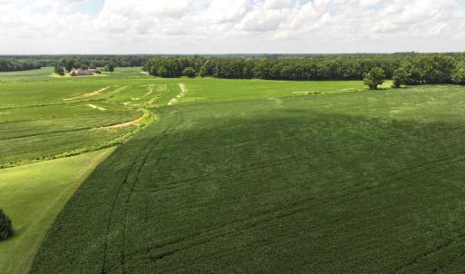 Photo #31 of Off Old Mill Road, stantonsburg, NC 51.5 acres