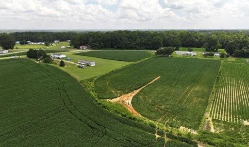 Photo #32 of Off Old Mill Road, stantonsburg, NC 51.5 acres
