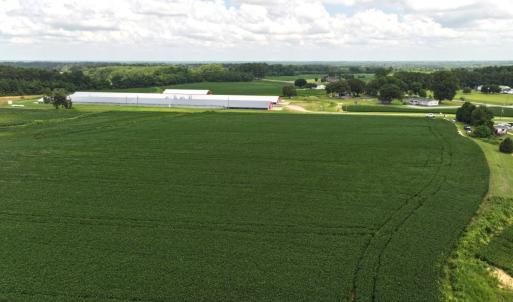 Photo #34 of Off Old Mill Road, stantonsburg, NC 51.5 acres