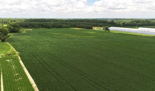 Photo #35 of Off Old Mill Road, stantonsburg, NC 51.5 acres
