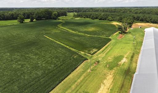 Photo #36 of Off Old Mill Road, stantonsburg, NC 51.5 acres