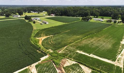 Photo #37 of Off Old Mill Road, stantonsburg, NC 51.5 acres