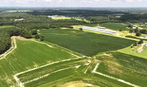 Photo #4 of Off Old Mill Road, stantonsburg, NC 51.5 acres