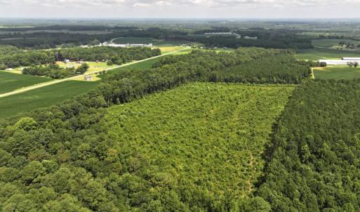 Photo #5 of Off Old Mill Road, stantonsburg, NC 51.5 acres