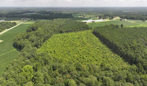 Photo #6 of Off Old Mill Road, stantonsburg, NC 51.5 acres