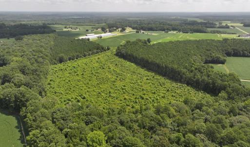 Photo #7 of Off Old Mill Road, stantonsburg, NC 51.5 acres