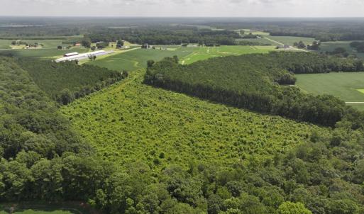 Photo #8 of Off Old Mill Road, stantonsburg, NC 51.5 acres