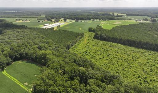 Photo #9 of Off Old Mill Road, stantonsburg, NC 51.5 acres