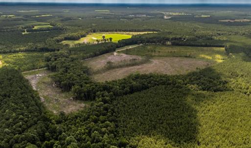 Photo #12 of Off Courthouse Road, Waverly, VA 50.0 acres
