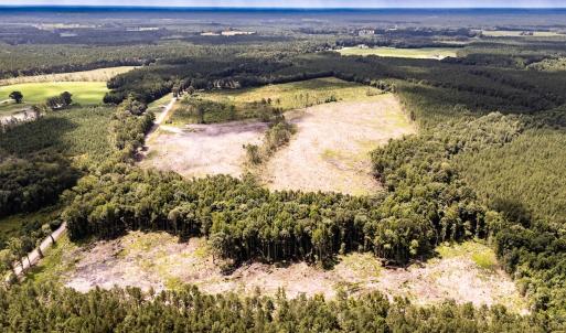 Photo #13 of Off Courthouse Road, Waverly, VA 50.0 acres