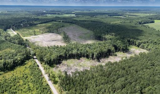 Photo #15 of Off Courthouse Road, Waverly, VA 50.0 acres