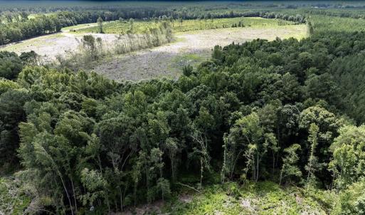 Photo #18 of Off Courthouse Road, Waverly, VA 50.0 acres