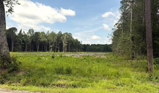 Photo #19 of Off Courthouse Road, Waverly, VA 50.0 acres
