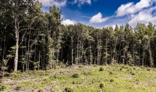 Photo #21 of Off Courthouse Road, Waverly, VA 50.0 acres