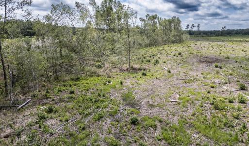 Photo #23 of Off Courthouse Road, Waverly, VA 50.0 acres