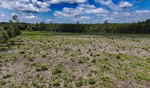 Photo #25 of Off Courthouse Road, Waverly, VA 50.0 acres